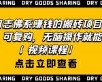 强子日志佛系赚钱的搬砖项目，需求大，可复购，无脑操作就能收钱_微雨项目网