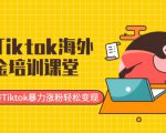 最新Tiktok海外掘金培训课堂：带你玩转Tiktok暴力涨粉轻松变现_微雨项目网