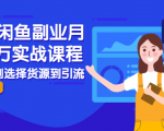2021闲鱼副业月入过万实战课程：从开店到选择货源到引流，全程实战教学_微雨项目网