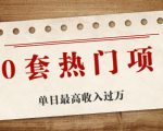 30套热门项目:单日最高收入过万 (网赚项目、朋友圈、涨粉套路、抖音、快手)等_微雨项目网