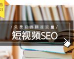 未来新趋势,布局短视频SEO,如何利用抖音SEO免费获得精准流量(3节课)_微雨项目网