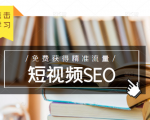 未来新趋势，布局短视频SEO，如何利用抖音SEO免费获得精准流量（3节课）_微雨项目网