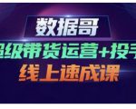 数据哥·超级带货运营+投手线上速成课,快速提升运营和熟悉学会投手技巧_微雨项目网