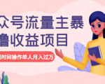 公众号流量主暴利撸收益项目,空闲时间操作单人月入过万_微雨项目网