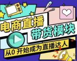 大鹏·电商直播带货课,系统学习直播带货各环节技巧和套路_微雨项目网