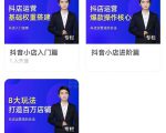 湛北·抖音小店入门进阶高阶合集，八大玩法打造百万店铺_微雨项目网
