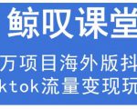 鲸叹号·海外TIKTOK训练营，百万项目海外版抖音tiktok流量变现玩法_微雨项目网