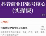 抖音商业IP起号核心实操课，带你玩转算法，流量，内容，架构，变现_微雨项目网