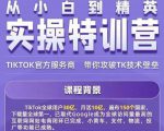 Seven漆·2022Tiktok从小白到精英实操特训营，带你掌握Tiktok账号运营_微雨项目网