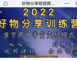 萌飞好物·2022抖音好物分享训练营，当下风口带货变现模式，从入门到精通_微雨项目网