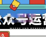 零零已久·从0-1运营公众号,零基础小白也能上手,系统性了解公众号运营_微雨项目网