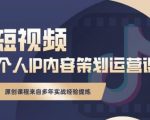 抖音短视频个人ip内容策划实操课,真正做到普通人也能实行落地_微雨项目网
