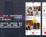 麦子互娱短视频带货·0基础做好物分享账号，无需出镜无需货源无需拍摄_微雨项目网