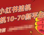 视频号小红书抖音挂机项目,小白无脑操作,按照要求来,单号每天几十米_微雨项目网