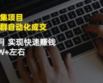 虚拟图集项目:矩阵站群自动化成交,3-5个月实现快速赚钱月入1W+左右_微雨项目网