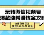 玩转微信视频号爆款涨粉赚钱全攻略,快速涨粉百万变现万元秘诀_微雨项目网