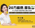 叶小鱼21天短视频文案拆书营,学完轻松搞定各类书单短视频文案_微雨项目网
