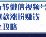 玩转微信视频号爆款涨粉赚钱全攻略，让你快速抓住流量风口，收获红利财富_微雨项目网