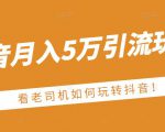 老古董·抖音月入5万引流玩法，看看老司机如何玩转抖音(附赠：抖音另类引流思路)_微雨项目网