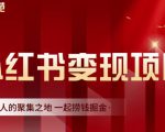渣圈学苑·小红书虚拟资源变现项目，一起捞钱掘金价值1099元_微雨项目网