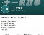 十一说故事·故事性中视频,观众快速共鸣从而快速变现的中视频玩法_微雨项目网