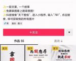 国潮壁纸变现项目，新手可操作日赚200+【素材+软件+教程】_微雨项目网