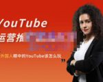 外国人眼中的YouTube该怎么玩？Elisa·YouTube运营推广实战技巧_微雨项目网