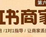 贾真-小红书商家营第6期商家版，21天带货陪跑课，让商家丢掉付流量_微雨项目网