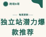 【跨境B哥】独立站潜力爆款选品推荐，测款出单率高达百分之80_微雨项目网