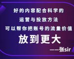 张sir账号流量增长课，告别海王流量，让你的流量更精准_微雨项目网