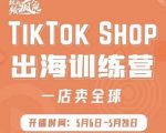 疯人院:TikTok Shop出海训练营(一店卖全球),出海抢占全球新流量_微雨项目网