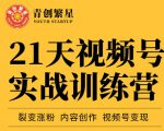 张萌21天视频号实战训练营，裂变涨粉、内容创作、视频号变现 价值298元_微雨项目网