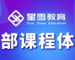 星雪教育淘系高级班，更全的运营提升方案，零基础由浅入深，店铺最新玩法_微雨项目网