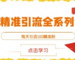 闲鱼精准引流全系列课程,每天引流100精准粉【视频课程】_微雨项目网