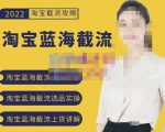 2022淘宝蓝海截流攻略，淘宝蓝海截流选品上货实操讲解_微雨项目网