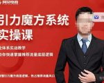 阿呆-引力魔方系统实操课，全体系实战教学，助你快速掌握推荐流量底层逻辑_微雨项目网