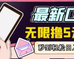 【高端精品】最新无撸5元E卡项目，无限接码秒到，一单利润3.5，轻松日入破千_微雨项目网