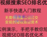 宋老师·短视频搜索SEO优化，教你10分钟创作一个短视频，三天排名上第一_微雨项目网