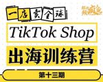 TikTokShop出海训练营(第十三期),打开全球流量新思维,出海抢占全球新流量,一店卖全球_微雨项目网