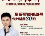 星哥同城教育书单号课程,无需出境简单操作项目稳定_微雨项目网