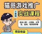 猫哥·游戏推广实战课程，单视频收益达6位数，从0到1成为优质游戏达人_微雨项目网