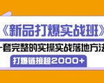 凌童《新品打爆实战班》,一套完整的实操实战落地方法,打爆链接超2000+(28节课)_微雨项目网