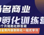 杨名商业IP孵化训练营，从商业到内容到转化一站式学 价值5980元_微雨项目网