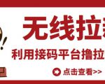 最新接码无限拉新项目,利用接码平台赚拉新平台差价,轻松日赚500+_微雨项目网
