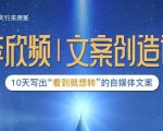 李欣频|文案创造课，0基础可报10天写出“看到就想转”的自媒体文案_微雨项目网