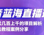 抖音最新蓝海直播玩法，3分钟赚30元，一天轻松1000+，只要你去直播就行【详细玩法教程】_微雨项目网