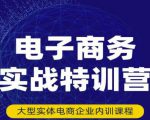 民赛电气内部出品：电子商务实战特训营，全方位带你入门电商，308种方式玩转电商_微雨项目网
