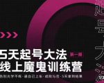大播·五天起号魔鬼训练营，告别光学不练，逼自己上车，成败与否，5天拿到结果_微雨项目网