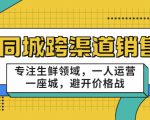 同城跨渠道销售，专注生鲜领域，一人运营一座城，避开价格战_微雨项目网