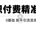 玩转知识付费项目精准引流，给你1套课多账号操作落地方案！_微雨项目网